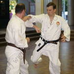 Adults Sparring