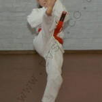 Front Kick