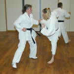 Sparring Practise