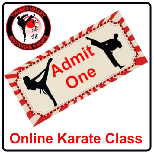 TVSK Virtual Lesson Ticket